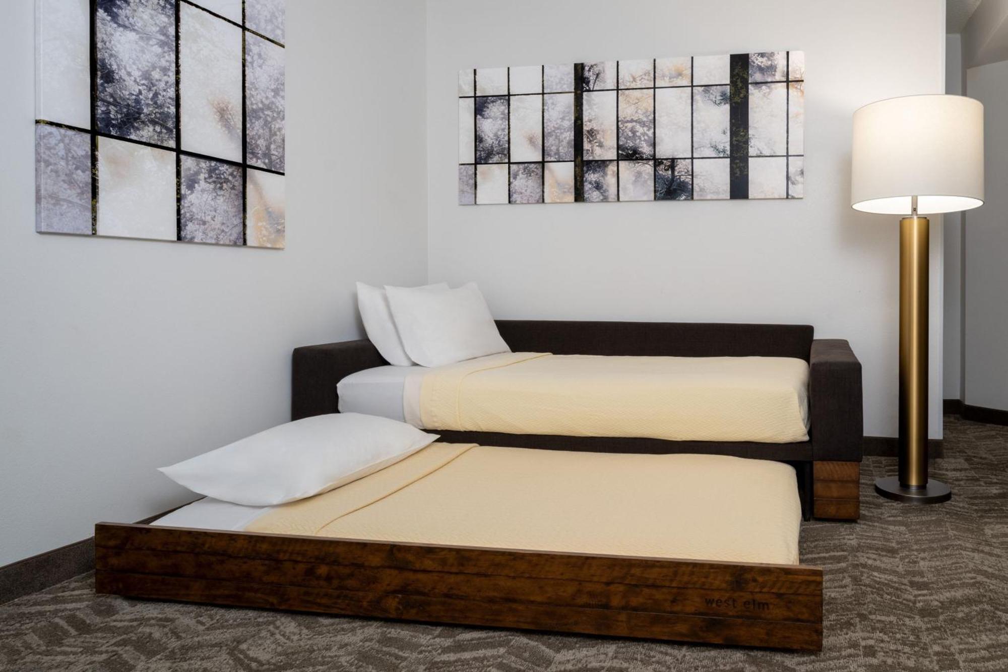 Springhill Suites גיינסוויל מראה חיצוני תמונה