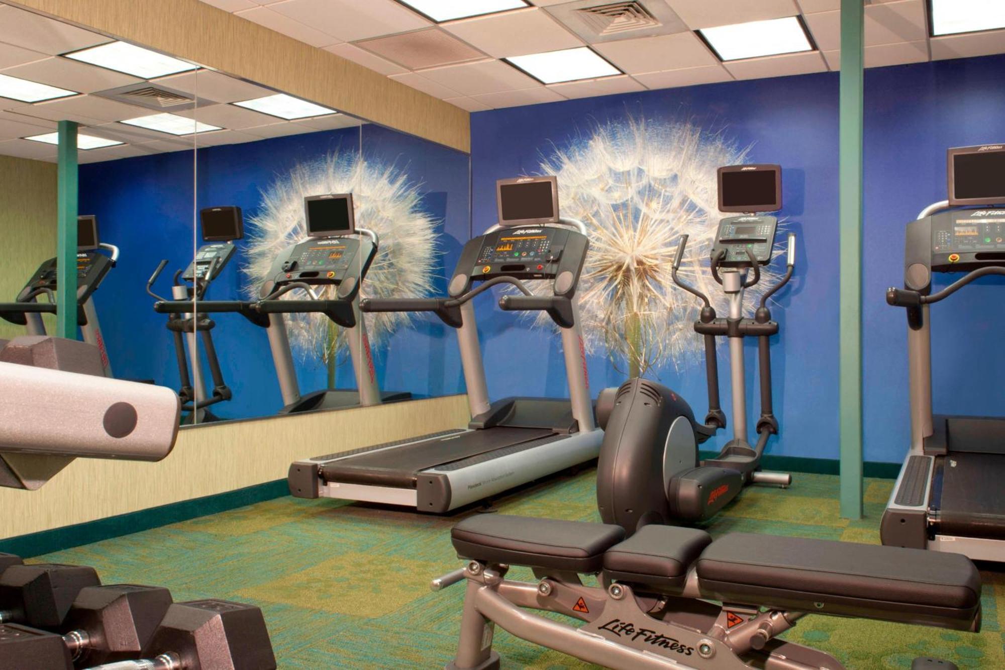Springhill Suites גיינסוויל מראה חיצוני תמונה